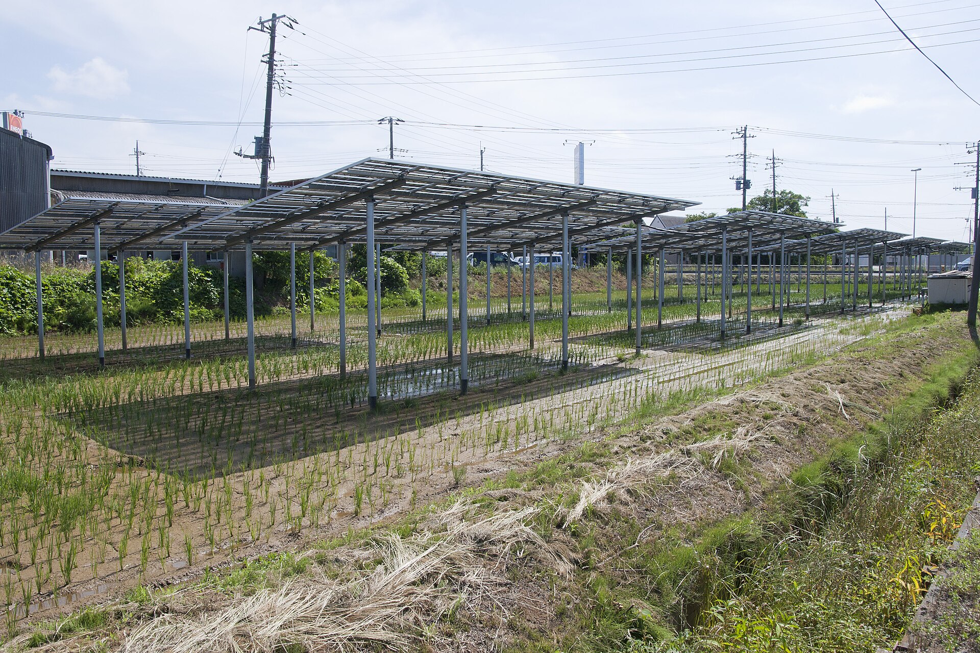 Powering operations with energy services